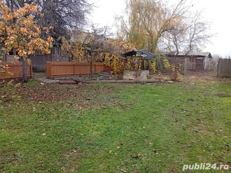 Casa batraneasca Ceamurila de jos - 7