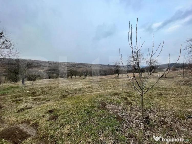 REDUCERE!!! Teren extravilan 5.613 mp, livada, zona Prede? - 2