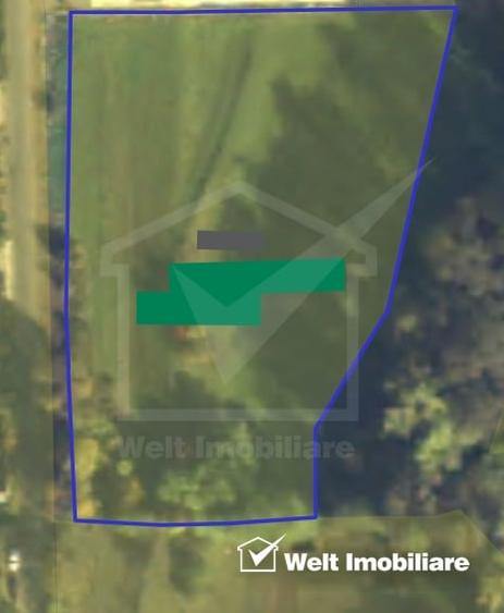 Teren intravilan constructii Tauti - 4