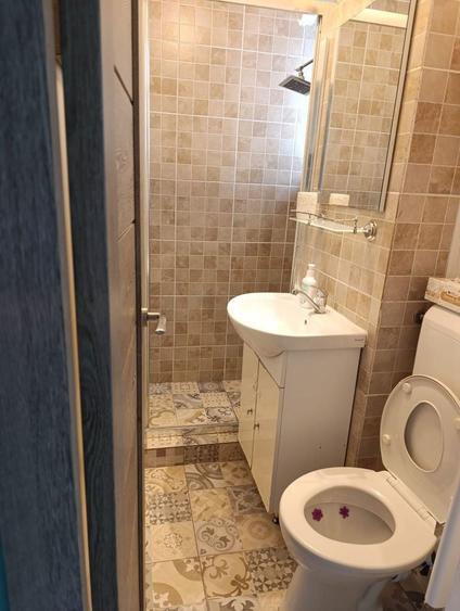 Inchiriez ap cu 3 cam, decomandat, Dambul Pietros - 4