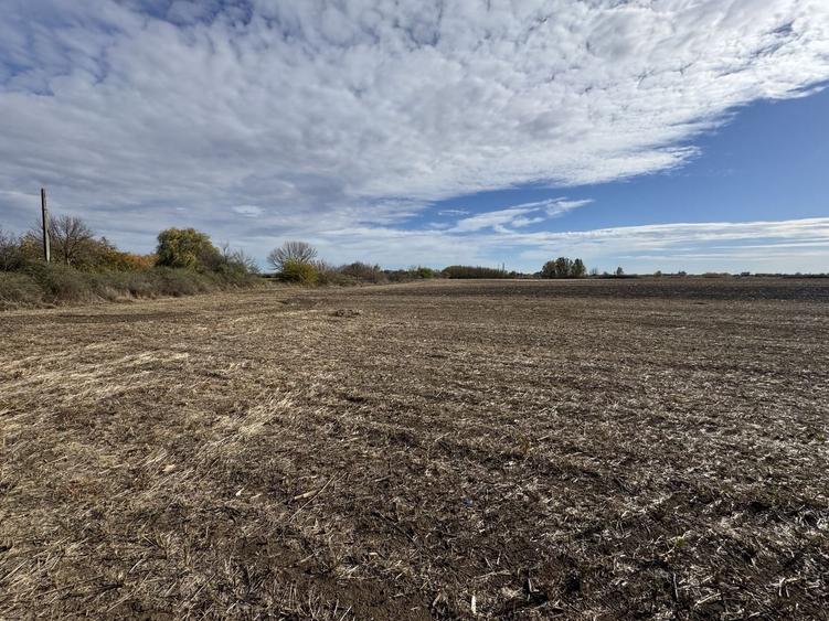 Vand Teren Extravilan Biled(zona industriala) 25.000mp,F.S la DN6 - 5