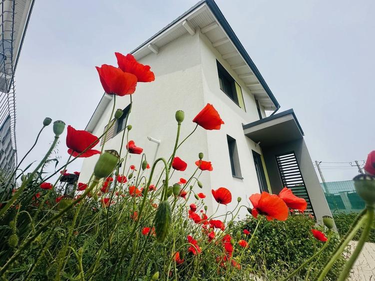 🏡 Casă tip duplex de închiriat | DUMBRAVITA | Confort și Relaxare | - 1