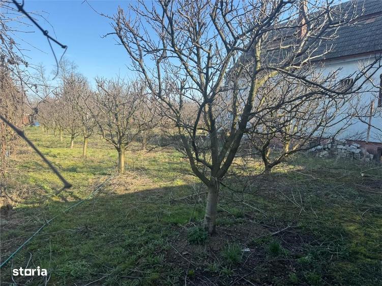 RECO Casa de vanzare in Inand - 3