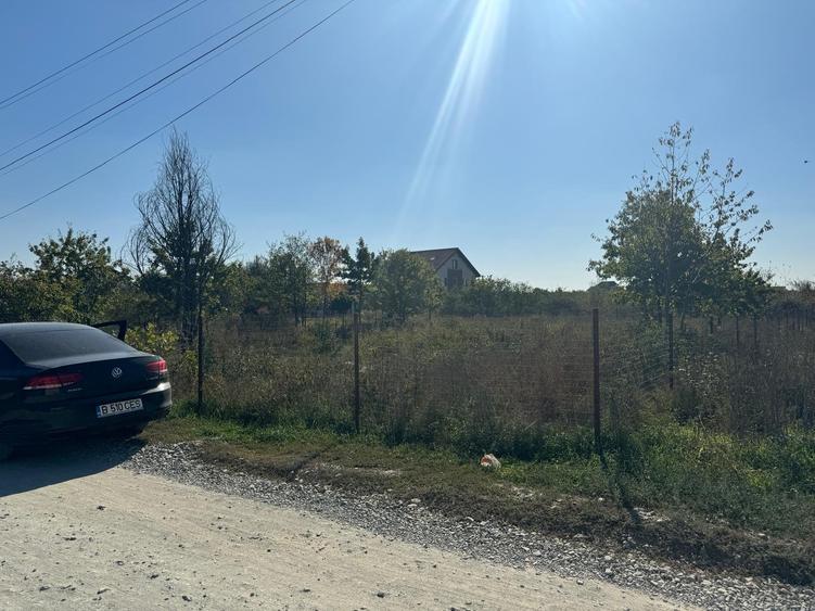 Teren Interesant Mogosoaia - 1