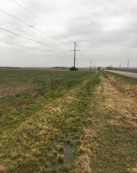 Reco Teren Intravilan in Chiribis - 6