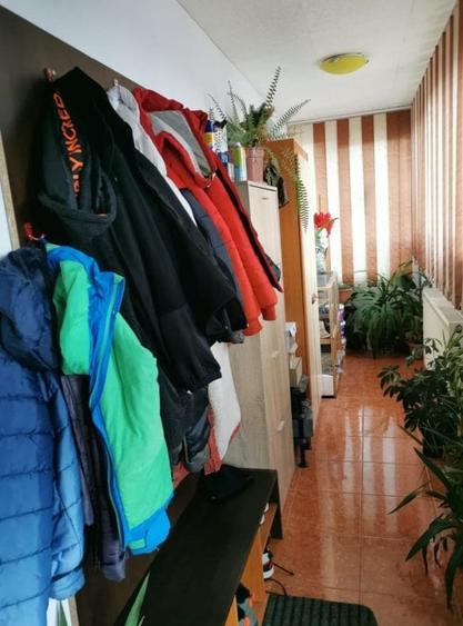 FARA COMISIOANE casa cu 6 camere 2 bucatarii P+1 TIGLA PISCINA BECI GARAJ - 50