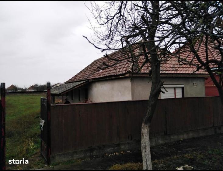 Casa + teren de vanzare - 2