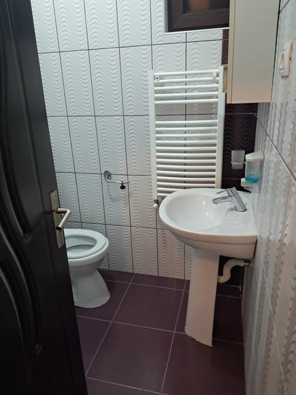 Palazu Mare-casa 4 camere , mobilata si utilata - 6