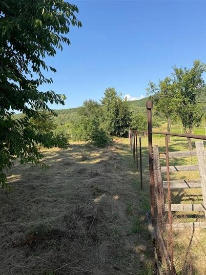 RECO . Casa in Saliste de Vascau . - 8