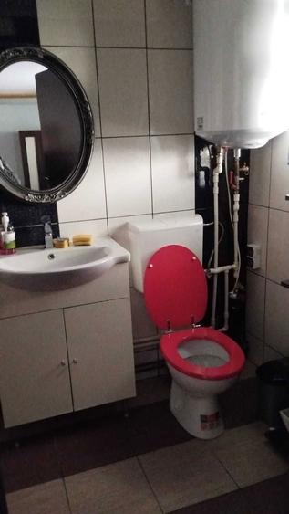 Inchiriez paratament la casa - zona Paltinis - 3