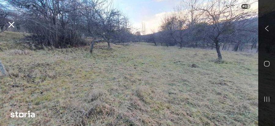 Vind teren intravilan sau extravilan Cacova Ierii - 2