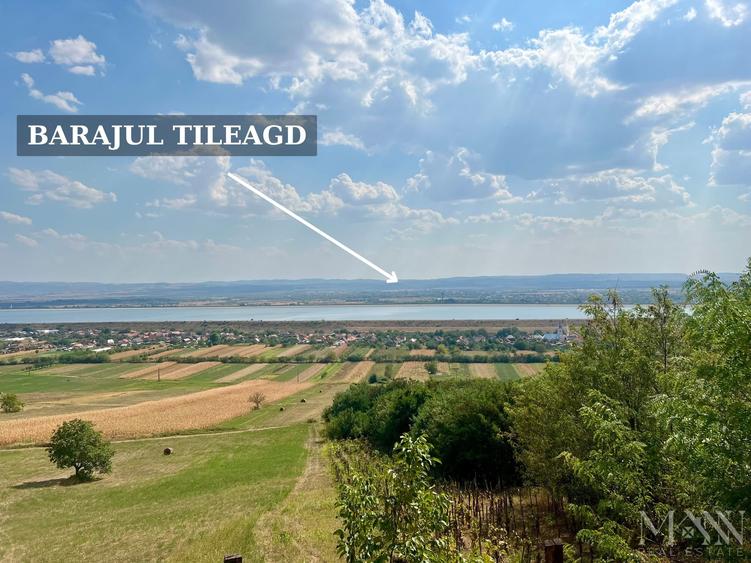 Pivnita + parcela de vie | de vanzare | Uileacu de Cris, Bihor - 2