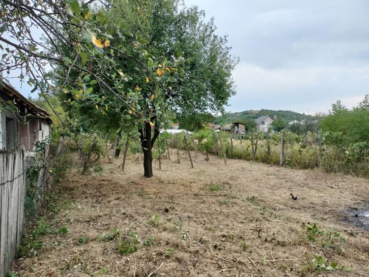 Vand casa 3 camere - 7