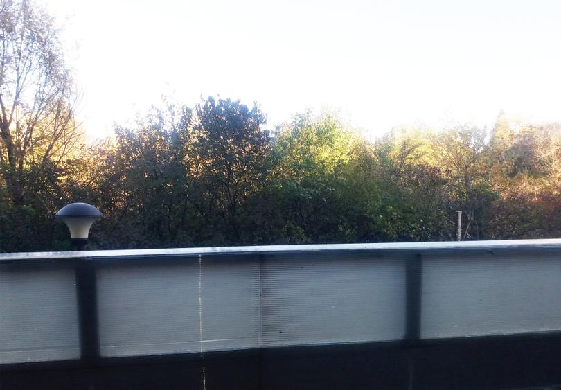 Apartament 2 camere Baneasa Natura Residence - 2