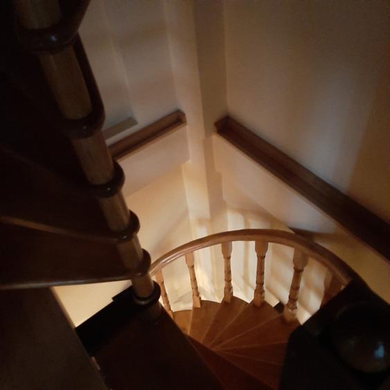 Drumul Taberei, Lidl Moinesti, Spatiu comercial si Vila rezidentiala - 10