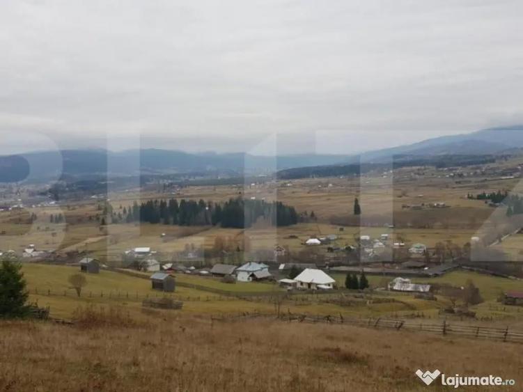 Teren ?aru Dornei 5 hectare - 3