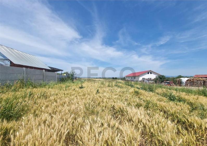 RECO teren intravilan la 15 minute de Metro Oradea - 2