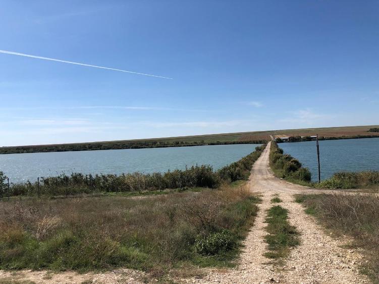 PROPRIETAR vand teren 20.000 mp CORBU | 50 m deschidere la lac   - 4