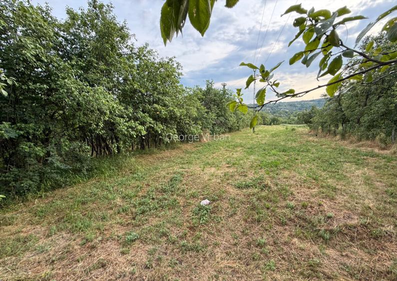 Teren intravilan 3600 m2 Drajna, Prahova Teren intravilan 3600 m2 Drajna, Prahova