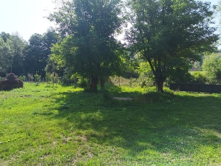 Casa de vanzare comuna Densus - 7