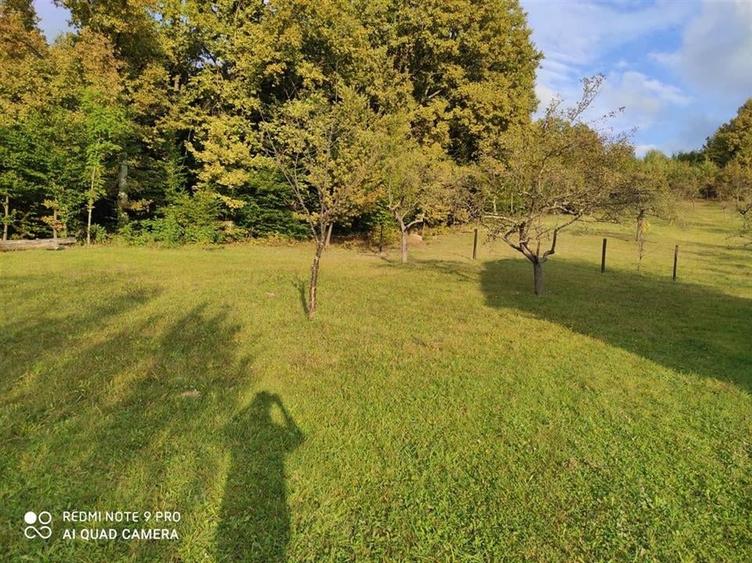 RECO Casa de vacanta in Borod - 5