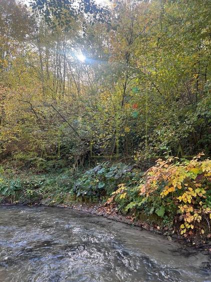 Proprietar. Vand teren. Paraul Runcu este limita de proprietate. Drum asfaltat - 5