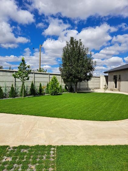 CASA CUMPANA LA ALB | TEREN 814 | BECI + PUT DE APA | - 1