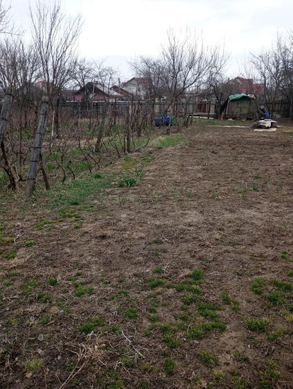 Teren intravilan, Saucesti, centru. - 3