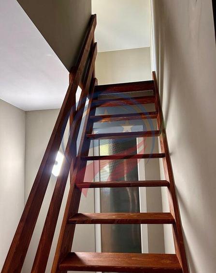 Vila cu 6camere de vanzare in Carcea/Dolj - 9