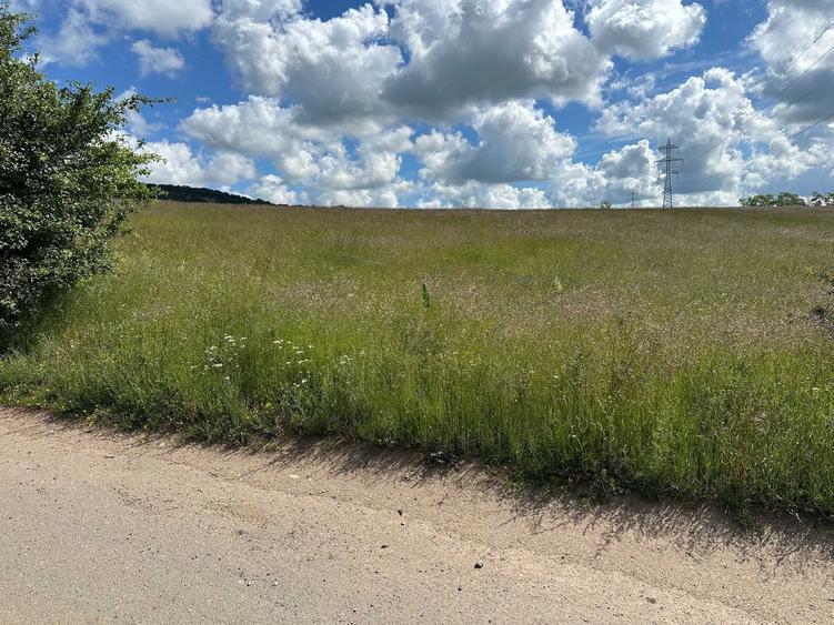 Vand teren extravilan 10.000 mp situat pe UAT Sibiu / zona Dealul Daii - 4