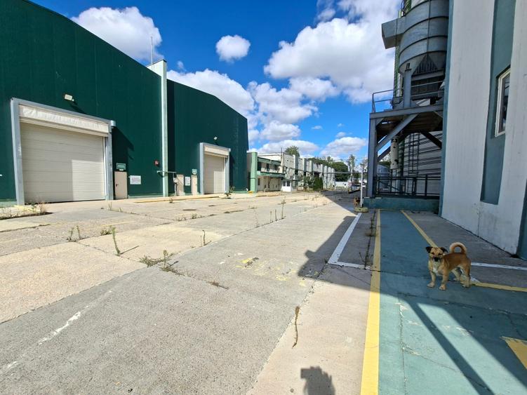 Hala de inchiriat 795 mp - 4