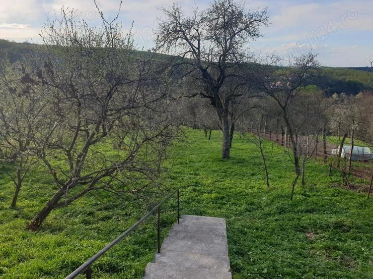 Casa cu sura 1850mp Marginimea Sibiului Rod jud Sibiu - 7