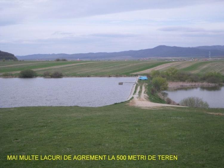 Teren ideal ferma, pt dezvoltare agricola, proiect fotovoltaice - 8