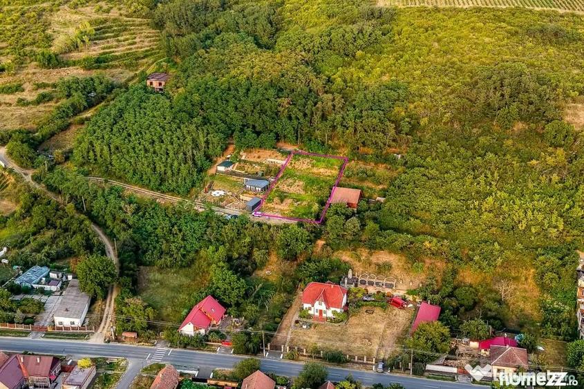 Teren în Miniș