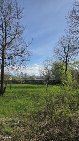 Teren de 1700 mp, în Recea
