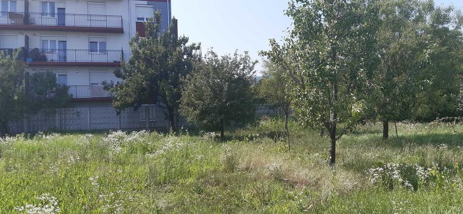 Teren de 1769 mp, în Central