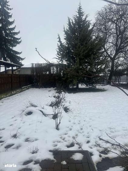 Campina - teren intravilan - 300mp - 60000 Euro - 4