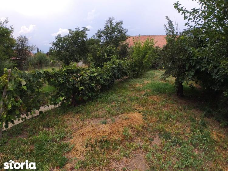 Casa cu teren generos de vanzare in orasul Miercurea Sibiului - 16