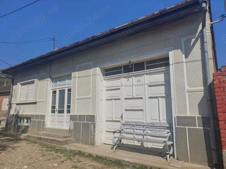 Casa de vanzare in Lapu?nicu Mare - 4
