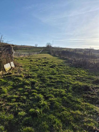 Case de vanzare la tara in jud. Bistrita N - 5