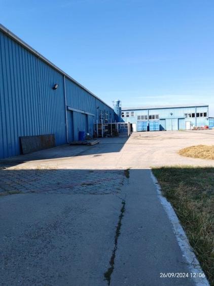 Hala de vanzare in Magurele - acces rapid si infrastructura moderna - 2