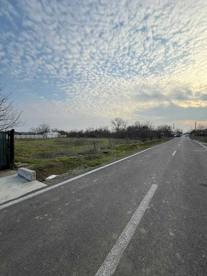 Teren intravilan comuna cuza voda sat calarasii vechi 1167 mp - 1