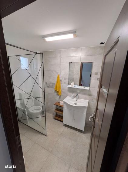 Vila Individuala P+1+M | Langa Padurea Cernica - 8