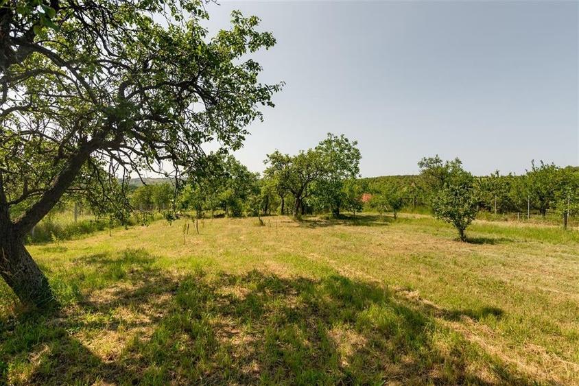 Casa cu living+3 camere cu panorama si teren mare pe Sofiei - 42