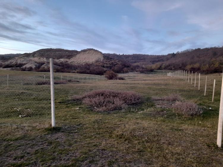 Vand teren extravilan Valea Fanatelor - 1