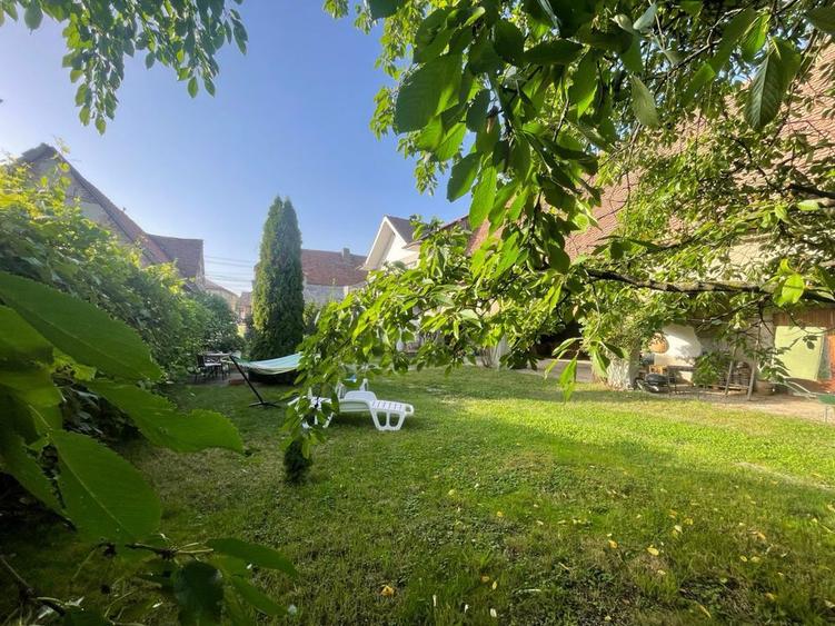 Casa de vanzare, P+E, 8 ari de teren - 6