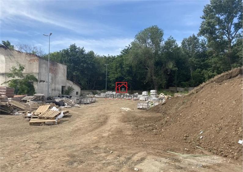 Teren Alexandria - Centura, TELEORMAN - 9