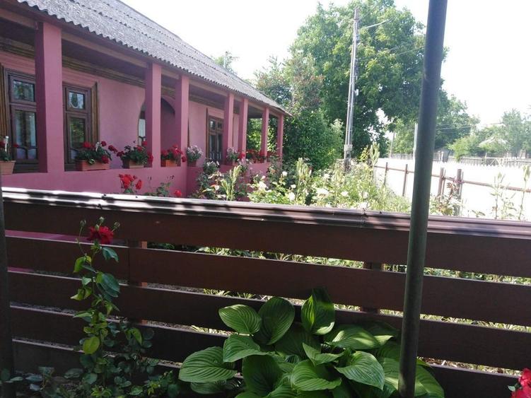 Casa la tara intretinuta, 3 camere + teren generos Trifesti judetul Iasi - 5