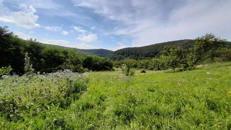 Teren intravilan frumos, Cozia - 1