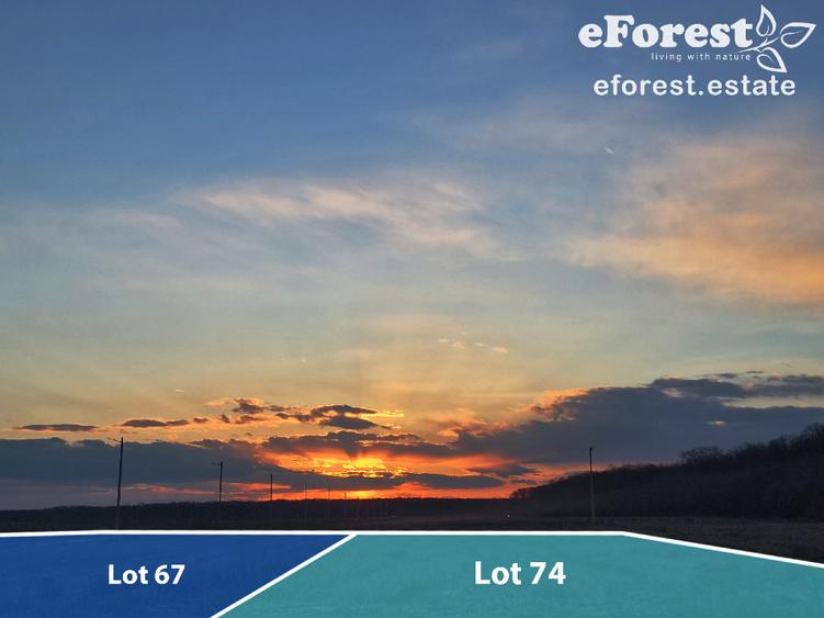 Terenuri premium de vanzare, langa padure, acces asfaltat din DN1A - 3